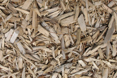 biomass boilers Ardmoney